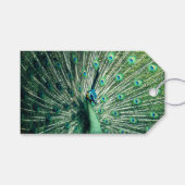 孔雀の支柱 ギフトタグ (正面(横))