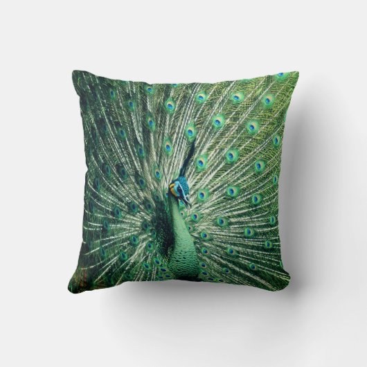 孔雀の支柱 クッション (裏面)