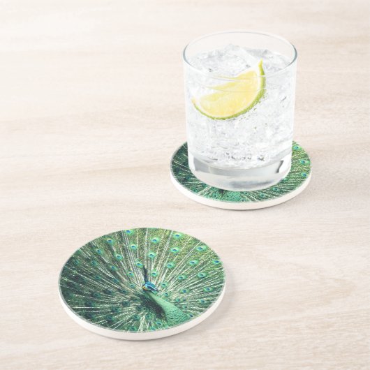 孔雀の支柱 コースター (側面)