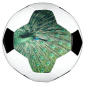 孔雀の支柱 サッカーボール (回転)