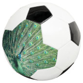 孔雀の支柱 サッカーボール (3/4)