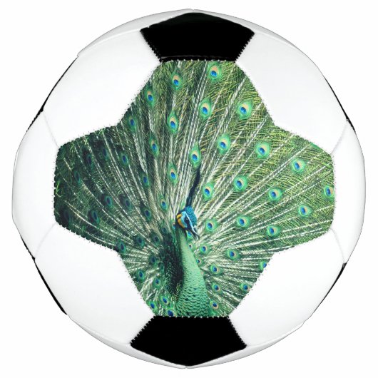 孔雀の支柱 サッカーボール (正面)