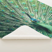 孔雀の支柱 シェルパブランケット (3/4)