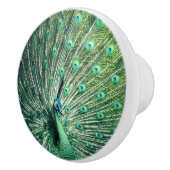 孔雀の支柱 セラミックノブ (右)