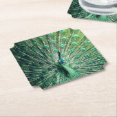 孔雀の支柱 ペーパーコースター (アングル)