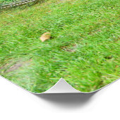 孔雀の支柱 ポスター (コーナー)