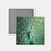 孔雀の支柱 マグネット (正面/裏面)