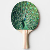 孔雀の支柱 卓球ラケット (正面)