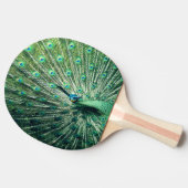 孔雀の支柱 卓球ラケット (横)