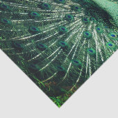 孔雀の支柱 薄葉紙 (詳細)