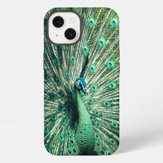 孔雀の支柱 iPhoneケース (裏面)