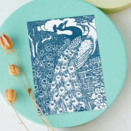 孔雀の日付を保存 案内ポストカード