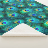 孔雀の栄光 シェルパブランケット (3/4)