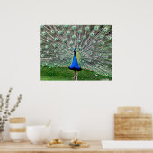 孔雀の梅のポスター ポスター (キッチン)