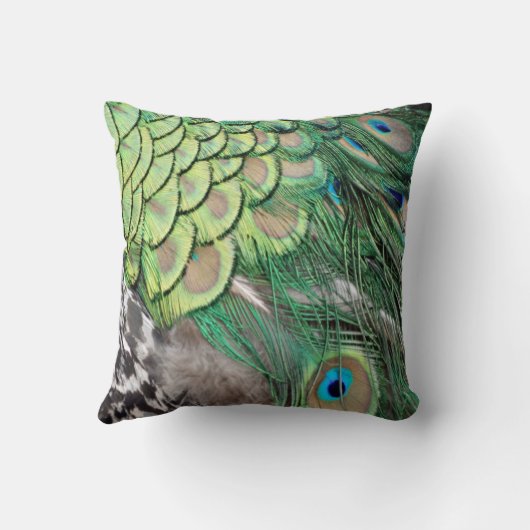 孔雀の歓喜 クッション (裏面)