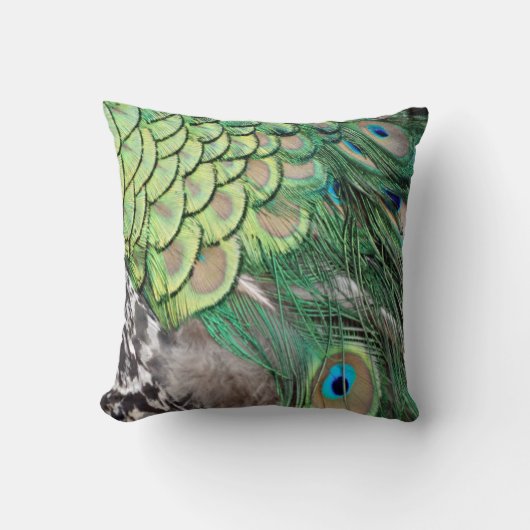 孔雀の歓喜 クッション (正面)