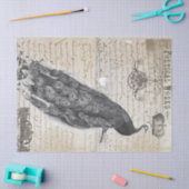 孔雀の短命なもののコラージュ 薄葉紙 (クラフト)