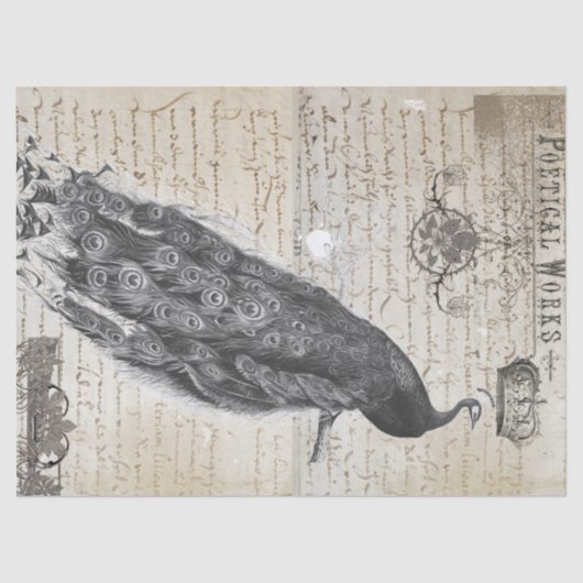 孔雀の短命なもののコラージュ 薄葉紙 (正面)