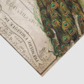 孔雀の短命なもののDecoupageのティッシュペーパーの景色 薄葉紙 (詳細)