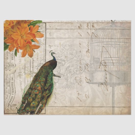 孔雀の短命なもののDecoupageのティッシュペーパーの景色 薄葉紙 (正面)