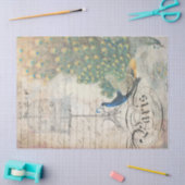 孔雀の短命なもののDecoupageのペーパー権利 薄葉紙 (クラフト)