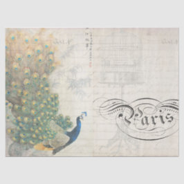 孔雀の短命なもののDecoupageのペーパー横 薄葉紙