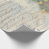 孔雀の短命なもののDecoupageの紙 ラッピングペーパー (角)