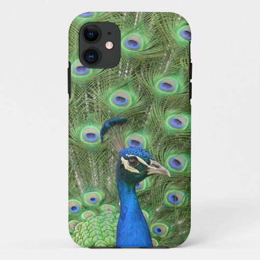 孔雀の穹窖のiPhone 5の場合 Case-Mate iPhoneケース (裏面)