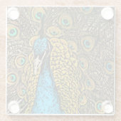 孔雀の素晴らしさのイラストレーション ガラスコースター (裏面)