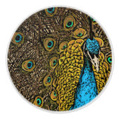 孔雀の素晴らしさのイラストレーション セラミックノブ (正面)