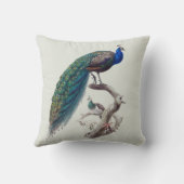 孔雀の組の自然史の屋内枕R 16x16 クッション (裏面)