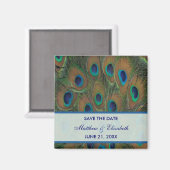 孔雀の結婚式の日付を保存 マグネット (正面/裏面)