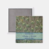 孔雀の結婚式の日付を保存 マグネット (正面/裏面)