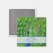 孔雀の結婚式の日付を保存 マグネット (正面/裏面)