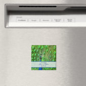 孔雀の結婚式の日付を保存 マグネット (インサイチュ (食洗機))