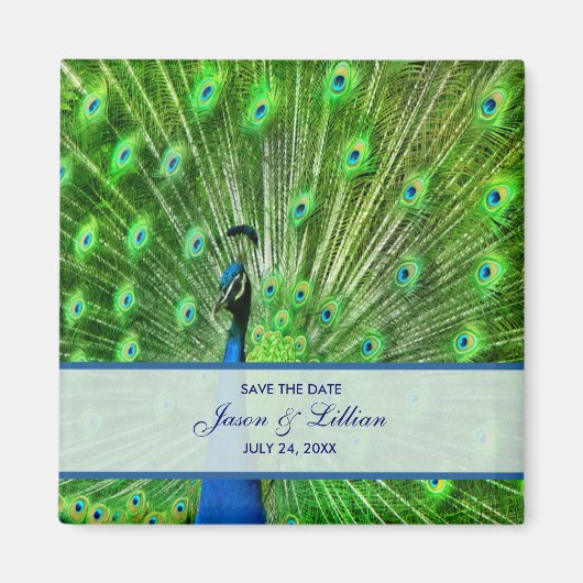 孔雀の結婚式の日付を保存 マグネット (正面)