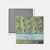 孔雀の結婚式の日付を保存 マグネット (正面/裏面)