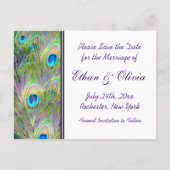 孔雀の結婚式の日付を保存 案内ポストカード (裏面)