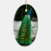 孔雀の美しい羽飾り絵の色 セラミックオーナメント (右)