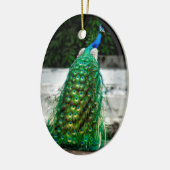 孔雀の美しい羽飾り絵の色 セラミックオーナメント (左)