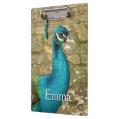 孔雀の美しい自然写真 クリップボード (左)