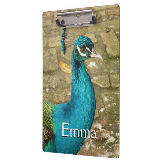 孔雀の美しい自然写真 クリップボード (左)