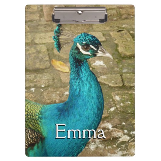 孔雀の美しい自然写真 クリップボード (正面)