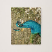 孔雀の美しい自然写真 ジグソーパズル (縦)