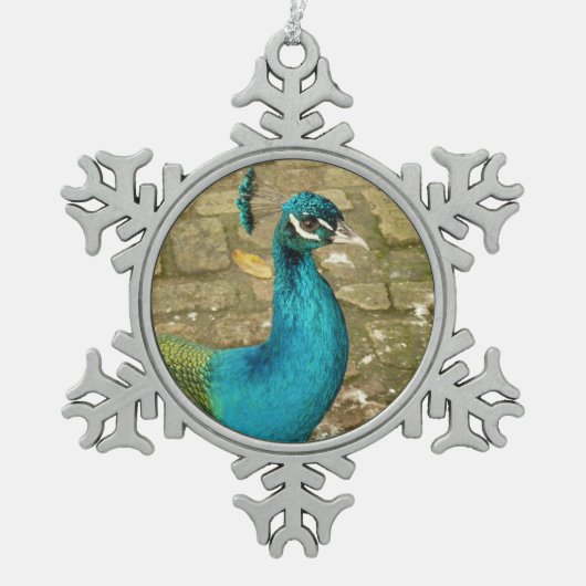 孔雀の美しい自然写真 スノーフレークピューターオーナメント (正面)