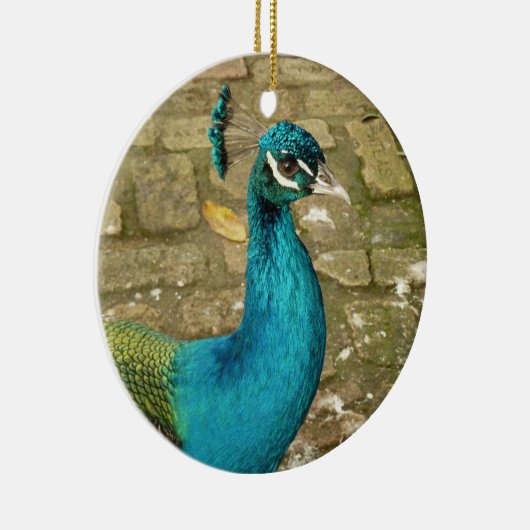 孔雀の美しい自然写真 セラミックオーナメント (右)