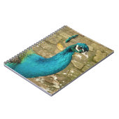 孔雀の美しい自然写真 ノートブック (左側)