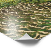 孔雀の美しい自然写真 フォトプリント            (角)