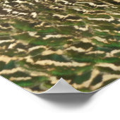 孔雀の美しい自然写真 ポスター (角)