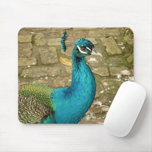 孔雀の美しい自然写真 マウスパッド (マウス)